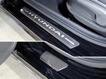 ТСС Накладки на пороги (лист шлифованный надпись Hyundai) 4 шт (SD) HYUNDAI Solaris 17-
