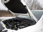 ТСС Упор капота (комплект) VW Amarok 16-